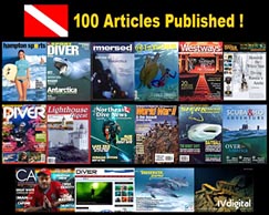 100 Published Articles Milestone Image